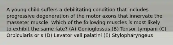 A young child suffers a debilitating condition that includes progressive degeneration of the motor axons that innervate the masseter muscle. Which of the following muscles is most likely to exhibit the same fate? (A) Genioglossus (B) Tensor tympani (C) Orbicularis oris (D) Levator veli palatini (E) Stylopharyngeus