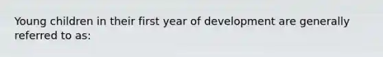 Young children in their first year of development are generally referred to as: