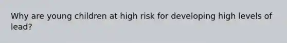 Why are young children at high risk for developing high levels of lead?