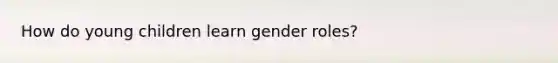 How do young children learn gender roles?