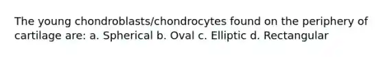 The young chondroblasts/chondrocytes found on the periphery of cartilage are: a. Spherical b. Oval c. Elliptic d. Rectangular