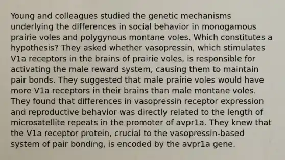 Young and colleagues studied the genetic mechanisms underlying the differences in social behavior in monogamous prairie voles and polygynous montane voles. Which constitutes a hypothesis? They asked whether vasopressin, which stimulates V1a receptors in the brains of prairie voles, is responsible for activating the male reward system, causing them to maintain pair bonds. They suggested that male prairie voles would have more V1a receptors in their brains than male montane voles. They found that differences in vasopressin receptor expression and reproductive behavior was directly related to the length of microsatellite repeats in the promoter of avpr1a. They knew that the V1a receptor protein, crucial to the vasopressin-based system of pair bonding, is encoded by the avpr1a gene.