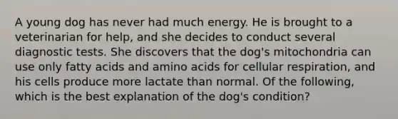 A young dog has never had much energy. He is brought to a veterinarian for help, and she decides to conduct several diagnostic tests. She discovers that the dog's mitochondria can use only fatty acids and amino acids for cellular respiration, and his cells produce more lactate than normal. Of the following, which is the best explanation of the dog's condition?