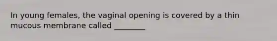 In young females, the vaginal opening is covered by a thin mucous membrane called ________