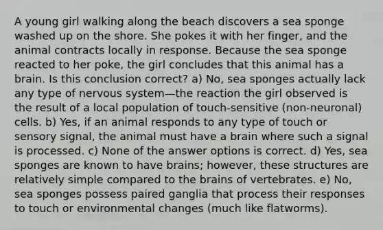 A young girl walking along the beach discovers a sea sponge washed up on the shore. She pokes it with her finger, and the animal contracts locally in response. Because the sea sponge reacted to her poke, the girl concludes that this animal has a brain. Is this conclusion correct? a) No, sea sponges actually lack any type of nervous system—the reaction the girl observed is the result of a local population of touch-sensitive (non-neuronal) cells. b) Yes, if an animal responds to any type of touch or sensory signal, the animal must have a brain where such a signal is processed. c) None of the answer options is correct. d) Yes, sea sponges are known to have brains; however, these structures are relatively simple compared to the brains of vertebrates. e) No, sea sponges possess paired ganglia that process their responses to touch or environmental changes (much like flatworms).