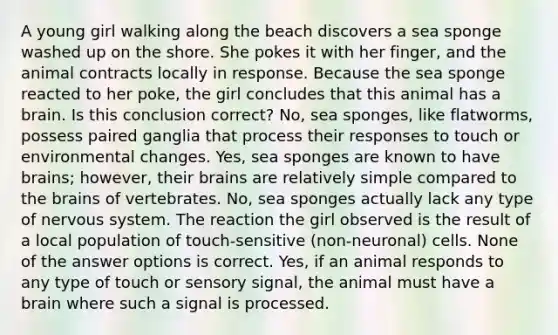 A young girl walking along the beach discovers a sea sponge washed up on the shore. She pokes it with her finger, and the animal contracts locally in response. Because the sea sponge reacted to her poke, the girl concludes that this animal has a brain. Is this conclusion correct? No, sea sponges, like flatworms, possess paired ganglia that process their responses to touch or environmental changes. Yes, sea sponges are known to have brains; however, their brains are relatively simple compared to the brains of vertebrates. No, sea sponges actually lack any type of nervous system. The reaction the girl observed is the result of a local population of touch-sensitive (non-neuronal) cells. None of the answer options is correct. Yes, if an animal responds to any type of touch or sensory signal, the animal must have a brain where such a signal is processed.