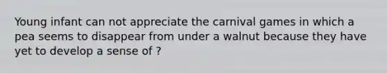 Young infant can not appreciate the carnival games in which a pea seems to disappear from under a walnut because they have yet to develop a sense of ?