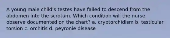 A young male child's testes have failed to descend from the abdomen into the scrotum. Which condition will the nurse observe documented on the chart? a. cryptorchidism b. testicular torsion c. orchitis d. peyronie disease