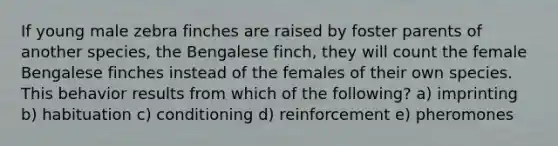 If young male zebra finches are raised by foster parents of another species, the Bengalese finch, they will count the female Bengalese finches instead of the females of their own species. This behavior results from which of the following? a) imprinting b) habituation c) conditioning d) reinforcement e) pheromones