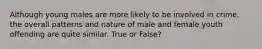 Although young males are more likely to be involved in crime, the overall patterns and nature of male and female youth offending are quite similar. True or False?