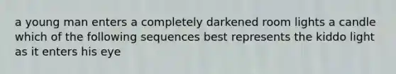 a young man enters a completely darkened room lights a candle which of the following sequences best represents the kiddo light as it enters his eye