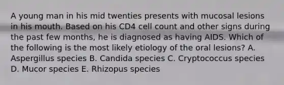 A young man in his mid twenties presents with mucosal lesions in his mouth. Based on his CD4 cell count and other signs during the past few months, he is diagnosed as having AIDS. Which of the following is the most likely etiology of the oral lesions? A. Aspergillus species B. Candida species C. Cryptococcus species D. Mucor species E. Rhizopus species