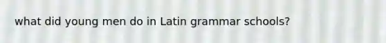 what did young men do in Latin grammar schools?