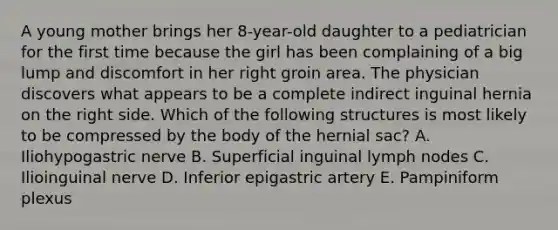 A young mother brings her 8-year-old daughter to a pediatrician for the first time because the girl has been complaining of a big lump and discomfort in her right groin area. The physician discovers what appears to be a complete indirect inguinal hernia on the right side. Which of the following structures is most likely to be compressed by the body of the hernial sac? A. Iliohypogastric nerve B. Superficial inguinal lymph nodes C. Ilioinguinal nerve D. Inferior epigastric artery E. Pampiniform plexus