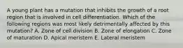 A young plant has a mutation that inhibits the growth of a root region that is involved in cell differentiation. Which of the following regions was most likely detrimentally affected by this mutation? A. Zone of cell division B. Zone of elongation C. Zone of maturation D. Apical meristem E. Lateral meristem