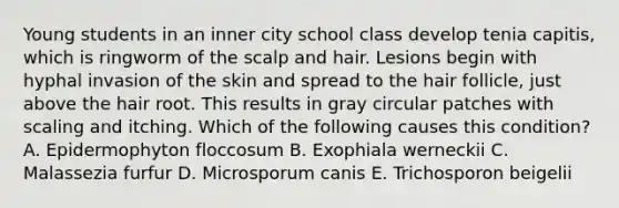 Young students in an inner city school class develop tenia capitis, which is ringworm of the scalp and hair. Lesions begin with hyphal invasion of the skin and spread to the hair follicle, just above the hair root. This results in gray circular patches with scaling and itching. Which of the following causes this condition? A. Epidermophyton floccosum B. Exophiala werneckii C. Malassezia furfur D. Microsporum canis E. Trichosporon beigelii