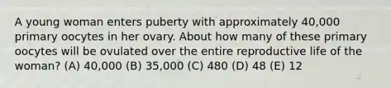 A young woman enters puberty with approximately 40,000 primary oocytes in her ovary. About how many of these primary oocytes will be ovulated over the entire reproductive life of the woman? (A) 40,000 (B) 35,000 (C) 480 (D) 48 (E) 12