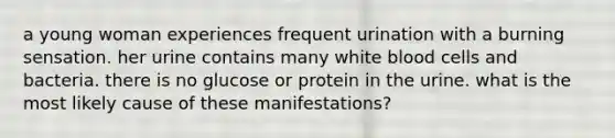 a young woman experiences frequent urination with a burning sensation. her urine contains many white blood cells and bacteria. there is no glucose or protein in the urine. what is the most likely cause of these manifestations?