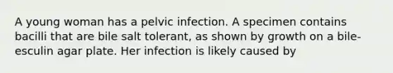 A young woman has a pelvic infection. A specimen contains bacilli that are bile salt tolerant, as shown by growth on a bile-esculin agar plate. Her infection is likely caused by