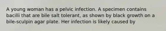 A young woman has a pelvic infection. A specimen contains bacilli that are bile salt tolerant, as shown by black growth on a bile-sculpin agar plate. Her infection is likely caused by