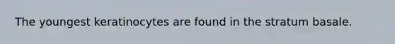 The youngest keratinocytes are found in the stratum basale.