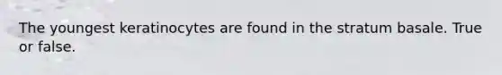 The youngest keratinocytes are found in the stratum basale. True or false.