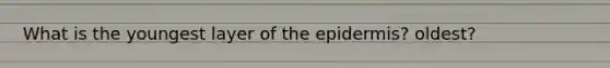 What is the youngest layer of the epidermis? oldest?