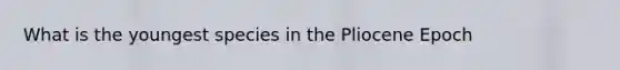 What is the youngest species in the Pliocene Epoch