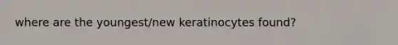 where are the youngest/new keratinocytes found?