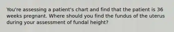 You're assessing a patient's chart and find that the patient is 36 weeks pregnant. Where should you find the fundus of the uterus during your assessment of fundal height?