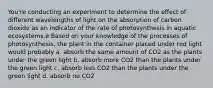 You're conducting an experiment to determine the effect of different wavelengths of light on the absorption of carbon dioxide as an indicator of the rate of photosynthesis in aquatic ecosystems.e Based on your knowledge of the processes of photosynthesis, the plant in the container placed under red light would probably a. absorb the same amount of CO2 as the plants under the green light b. absorb more CO2 than the plants under the green light c. absorb less CO2 than the plants under the green light d. absorb no CO2