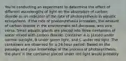 You're conducting an experiment to determine the effect of different wavelengths of light on the absorption of carbon dioxide as an indicator of the rate of photosynthesis in aquatic ecosystems. If the rate of photosynthesis increases, the amount of carbon dioxide in the environment will decrease, and vice versa. Small aquatic plants are placed into three containers of water mixed with carbon dioxide. Container A is placed under normal sunlight, B under green light, and C under red light. The containers are observed for a 24-hour period. Based on the passage and your knowledge of the process of photosynthesis, the plant in the container placed under red light would probably