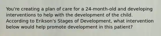 You're creating a plan of care for a 24-month-old and developing interventions to help with the development of the child. According to Erikson's Stages of Development, what intervention below would help promote development in this patient?