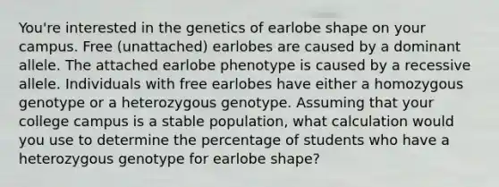 You're interested in the genetics of earlobe shape on your campus. Free (unattached) earlobes are caused by a dominant allele. The attached earlobe phenotype is caused by a recessive allele. Individuals with free earlobes have either a homozygous genotype or a heterozygous genotype. Assuming that your college campus is a stable population, what calculation would you use to determine the percentage of students who have a heterozygous genotype for earlobe shape?