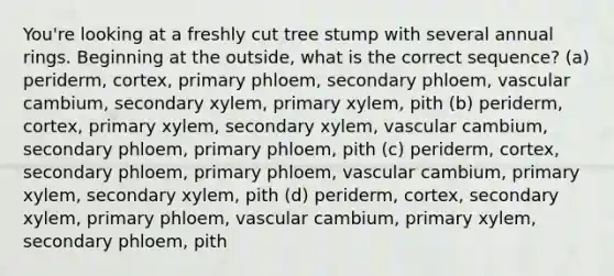 You're looking at a freshly cut tree stump with several annual rings. Beginning at the outside, what is the correct sequence? (a) periderm, cortex, primary phloem, secondary phloem, vascular cambium, secondary xylem, primary xylem, pith (b) periderm, cortex, primary xylem, secondary xylem, vascular cambium, secondary phloem, primary phloem, pith (c) periderm, cortex, secondary phloem, primary phloem, vascular cambium, primary xylem, secondary xylem, pith (d) periderm, cortex, secondary xylem, primary phloem, vascular cambium, primary xylem, secondary phloem, pith