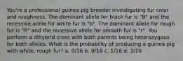 You're a professional guinea pig breeder investigating fur color and roughness. The dominant allele for black fur is "B" and the recessive allele for white fur is "b". The dominant allele for rough fur is "R" and the recessive allele for smooth fur is "r". You perform a dihybrid cross with both parents being heterozygous for both alleles. What is the probability of producing a guinea pig with white, rough fur? a. 0/16 b. 9/16 c. 1/16 d. 3/16