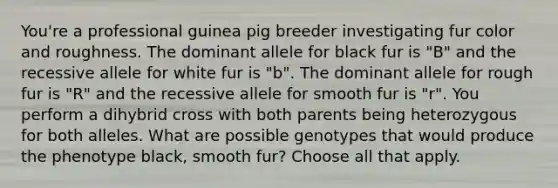 You're a professional guinea pig breeder investigating fur color and roughness. The dominant allele for black fur is "B" and the recessive allele for white fur is "b". The dominant allele for rough fur is "R" and the recessive allele for smooth fur is "r". You perform a dihybrid cross with both parents being heterozygous for both alleles. What are possible genotypes that would produce the phenotype black, smooth fur? Choose all that apply.