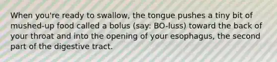 When you're ready to swallow, the tongue pushes a tiny bit of mushed-up food called a bolus (say: BO-luss) toward the back of your throat and into the opening of your esophagus, the second part of the digestive tract.