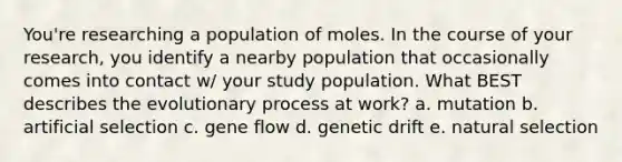 You're researching a population of moles. In the course of your research, you identify a nearby population that occasionally comes into contact w/ your study population. What BEST describes the evolutionary process at work? a. mutation b. artificial selection c. gene flow d. genetic drift e. natural selection