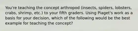 You're teaching the concept arthropod (insects, spiders, lobsters, crabs, shrimp, etc.) to your fifth graders. Using Piaget's work as a basis for your decision, which of the following would be the best example for teaching the concept?