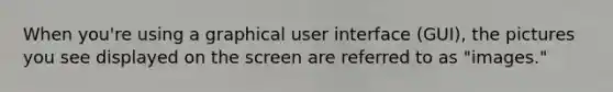 When you're using a graphical user interface (GUI), the pictures you see displayed on the screen are referred to as "images."