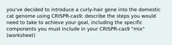 you've decided to introduce a curly-hair gene into the domestic cat genome using CRISPR-cas9; describe the steps you would need to take to achieve your goal, including the specific components you must include in your CRISPR-cas9 "mix" (worksheet)