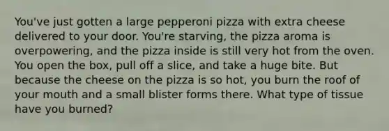 You've just gotten a large pepperoni pizza with extra cheese delivered to your door. You're starving, the pizza aroma is overpowering, and the pizza inside is still very hot from the oven. You open the box, pull off a slice, and take a huge bite. But because the cheese on the pizza is so hot, you burn the roof of your mouth and a small blister forms there. What type of tissue have you burned?