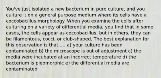 You've just isolated a new bacterium in pure culture, and you culture it on a general purpose medium where its cells have a coccobacillus morphology. When you examine the cells after culturing on a variety of differential media, you find that in some cases, the cells appear as coccobacillus, but in others, they can be filamentous, cocci, or club-shaped. The best explanation for this observation is that..... a) your culture has been contaminated b) the microscope is out of adjustment c) the media were incubated at an incorrect temperature d) the bacterium is pleomorphic e) the differential media are contaminated