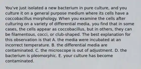 You've just isolated a new bacterium in pure culture, and you culture it on a general purpose medium where its cells have a coccobacillus morphology. When you examine the cells after culturing on a variety of differential media, you find that in some cases, the cells appear as coccobacillus, but in others, they can be filamentous, cocci, or club-shaped. The best explanation for this observation is that A. the media were incubated at an incorrect temperature. B. the differential media are contaminated. C. the microscope is out of adjustment. D. the bacterium is pleomorphic. E. your culture has become contaminated.