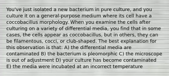 You've just isolated a new bacterium in pure culture, and you culture it on a general-purpose medium where its cell have a coccobacillus morphology. When you examine the cells after culturing on a variety of differential media, you find that in some cases, the cells appear as coccobacillus, but in others, they can be filamentous, cocci, or club-shaped. The best explanation for this observation is that: A) the differential media are contaminated B) the bacterium is pleomorphic C) the microscope is out of adjustment D) your culture has become contaminated E) the media were incubated at an incorrect temperature