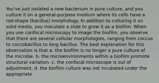 You've just isolated a new bacterium in pure culture, and you culture it on a general-purpose medium where its cells have a rod-shape (bacillus) morphology. In addition to culturing it on solid media, you inoculate a slide to grow it as a biofilm. When you use confocal microscopy to image the biofilm, you observe that there are several cellular morphologies, ranging from coccus to coccobacillus to long bacillus. The best explanation for this observation is that a. the biofilm is no longer a pure culture of the microbe. b. the microenvironments within a biofilm promote structural variation. c. the confocal microscope is out of adjustment. d. the biofilm culture was not incubated under the appropriate