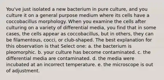 You've just isolated a new bacterium in pure culture, and you culture it on a general purpose medium where its cells have a coccobacillus morphology. When you examine the cells after culturing on a variety of differential media, you find that in some cases, the cells appear as coccobacillus, but in others, they can be filamentous, cocci, or club-shaped. The best explanation for this observation is that Select one: a. the bacterium is pleomorphic. b. your culture has become contaminated. c. the differential media are contaminated. d. the media were incubated at an incorrect temperature. e. the microscope is out of adjustment.