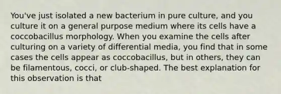 You've just isolated a new bacterium in pure culture, and you culture it on a general purpose medium where its cells have a coccobacillus morphology. When you examine the cells after culturing on a variety of differential media, you find that in some cases the cells appear as coccobacillus, but in others, they can be filamentous, cocci, or club-shaped. The best explanation for this observation is that