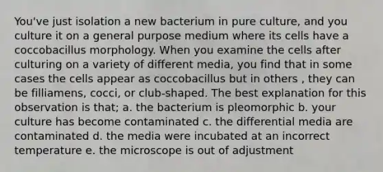 You've just isolation a new bacterium in pure culture, and you culture it on a general purpose medium where its cells have a coccobacillus morphology. When you examine the cells after culturing on a variety of different media, you find that in some cases the cells appear as coccobacillus but in others , they can be filliamens, cocci, or club-shaped. The best explanation for this observation is that; a. the bacterium is pleomorphic b. your culture has become contaminated c. the differential media are contaminated d. the media were incubated at an incorrect temperature e. the microscope is out of adjustment